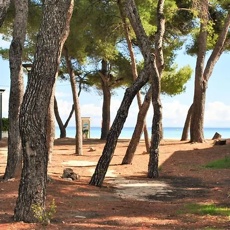 Ferienhaus Es Baladre Port d'Alcúdia